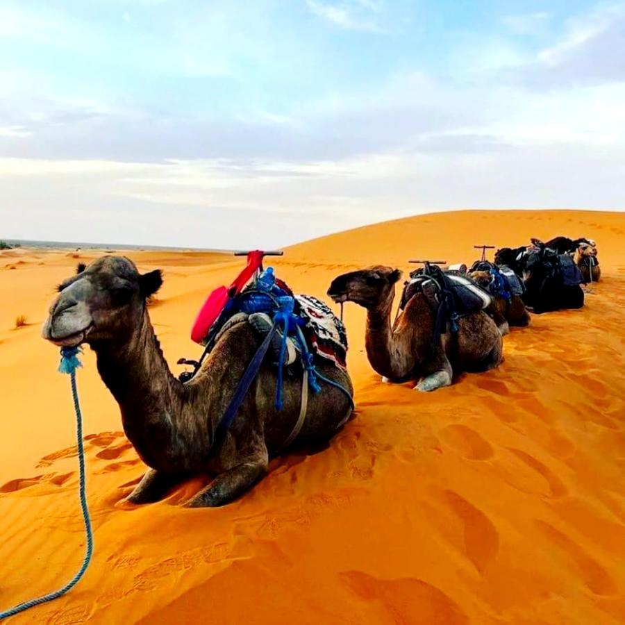 Bedouin Desert Camp Мерзуга Экстерьер фото